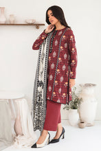 Load image into Gallery viewer, Shirt Dupatta
