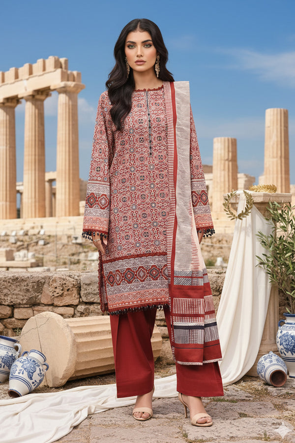 Printed - 2 Pc Khaddar Suit