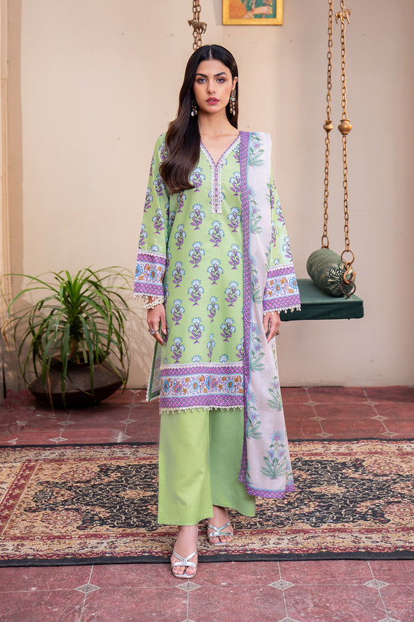 Printed - 2 Pc Lawn Suit (Lawn Dupatta)