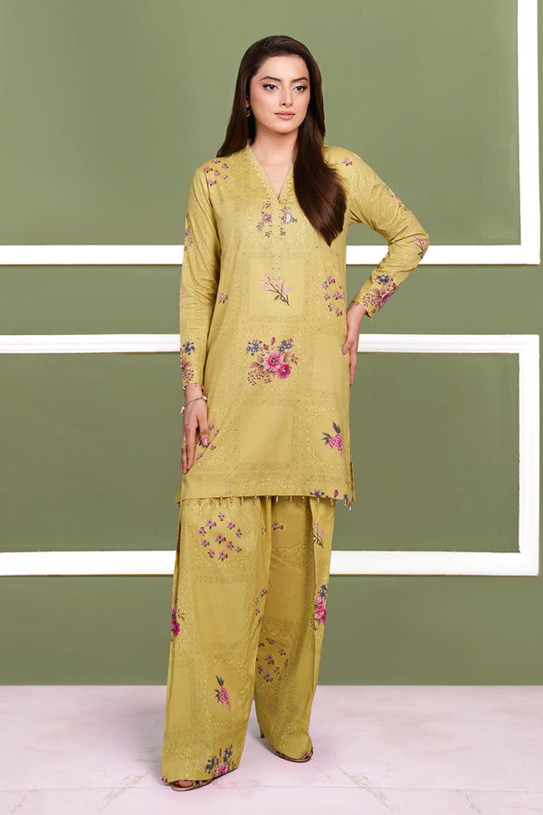 Printed - 2 Pc Cotton Viscose Suit