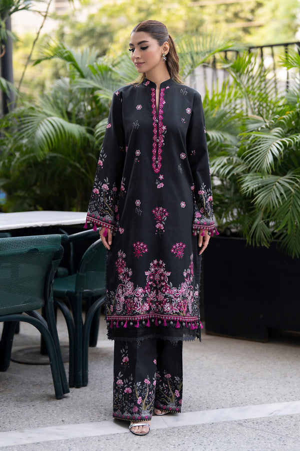 Embroidered - 2 Pc Karandi Suit