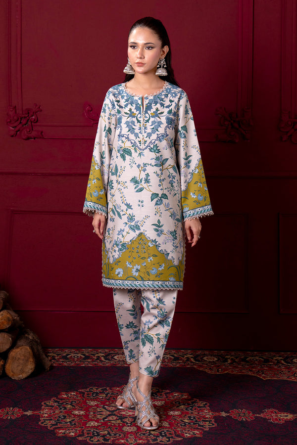 Printed - 2 Pc Karandi Suit
