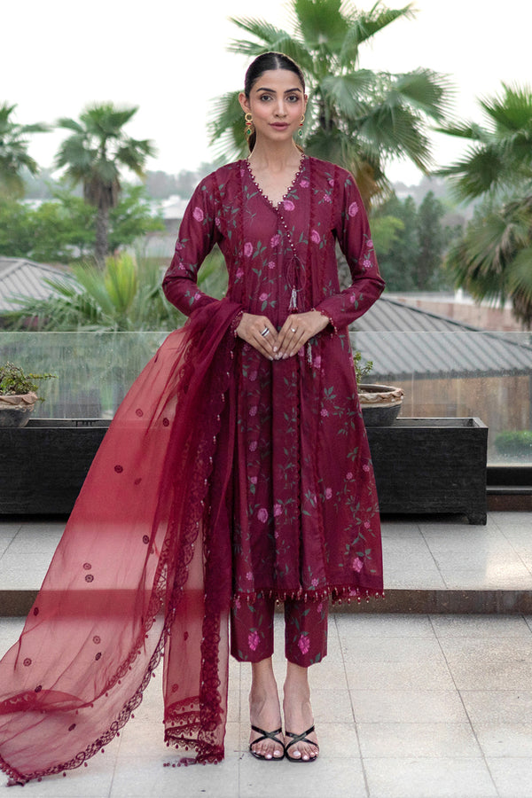 Printed - 2 Pc Cotton Suit